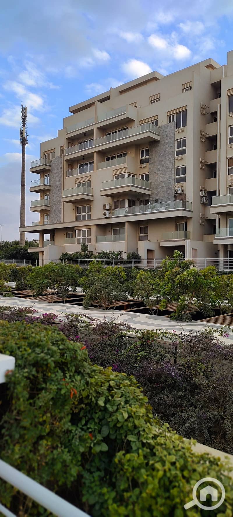 3 IMG_٢٠٢٥١٢٢٩_١٦١٨٢٨. jpg