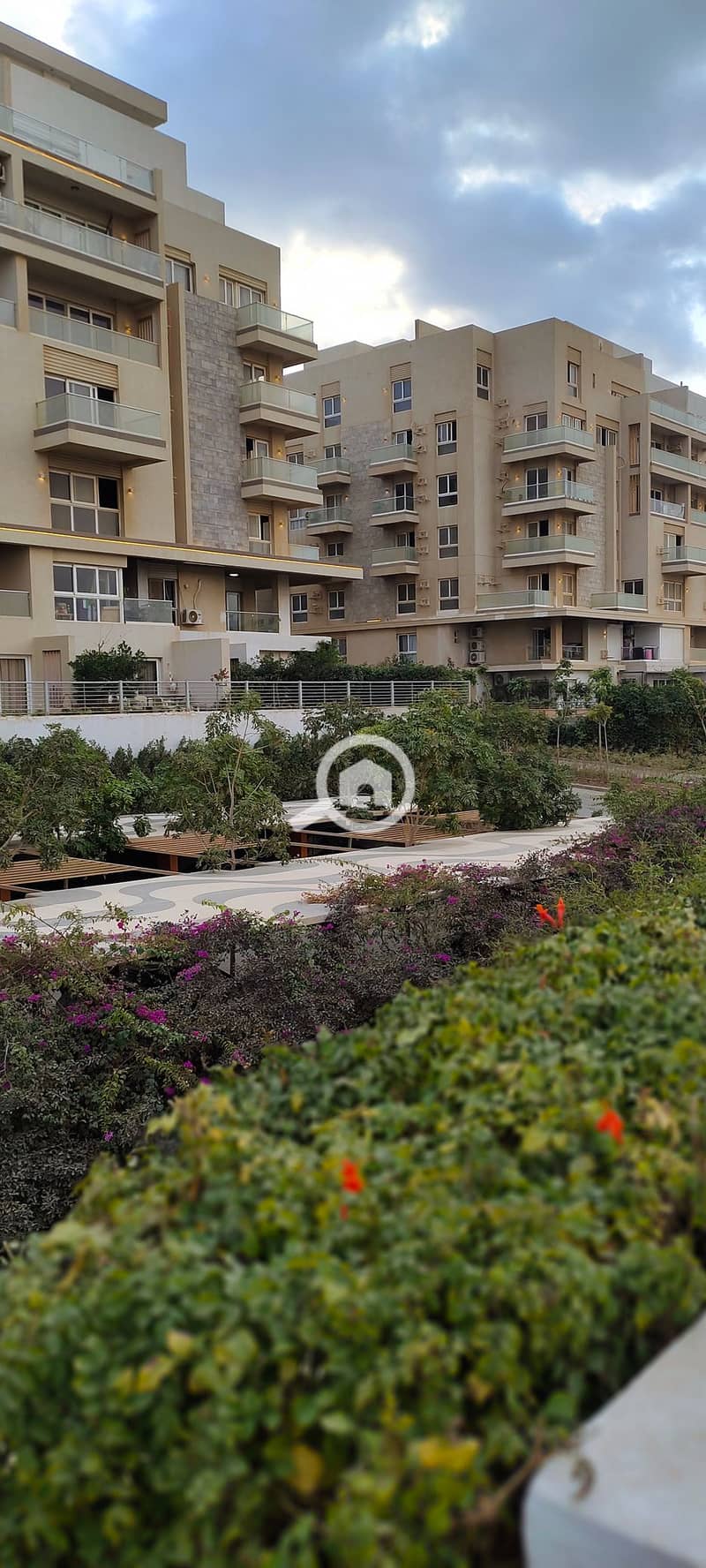 4 IMG_٢٠٢٥١٢٢٩_١٦٢٣٢٩. jpg