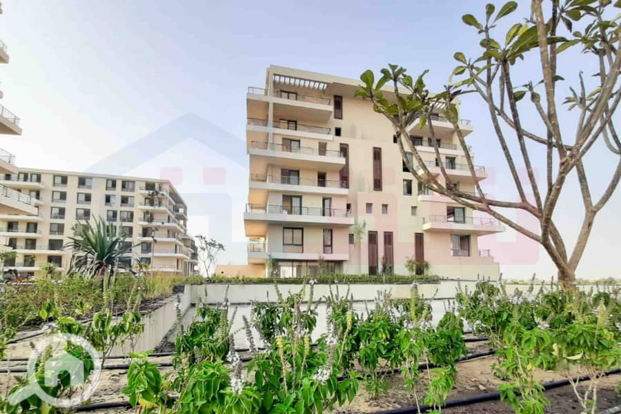 7 IMG-20251023-WA0022. jpg