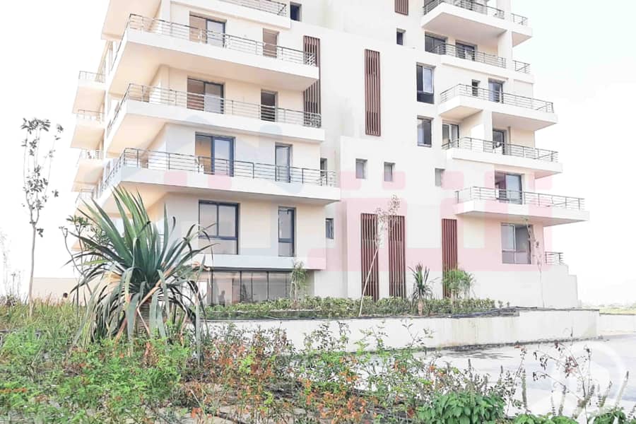 8 IMG-20251023-WA0023. jpg