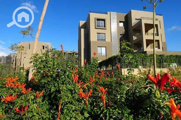 5 PHOTO-2024-05-30-11-58-00 (5). jpg