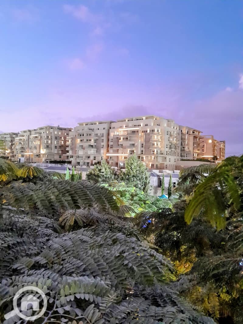 4 IMG-20251230-WA0083~2. jpg