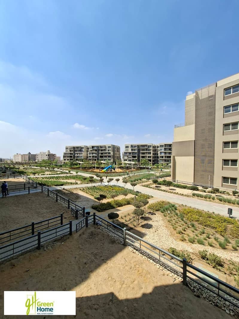 12 WhatsApp Image 2026-01-04 at 22.52. 28. jpeg