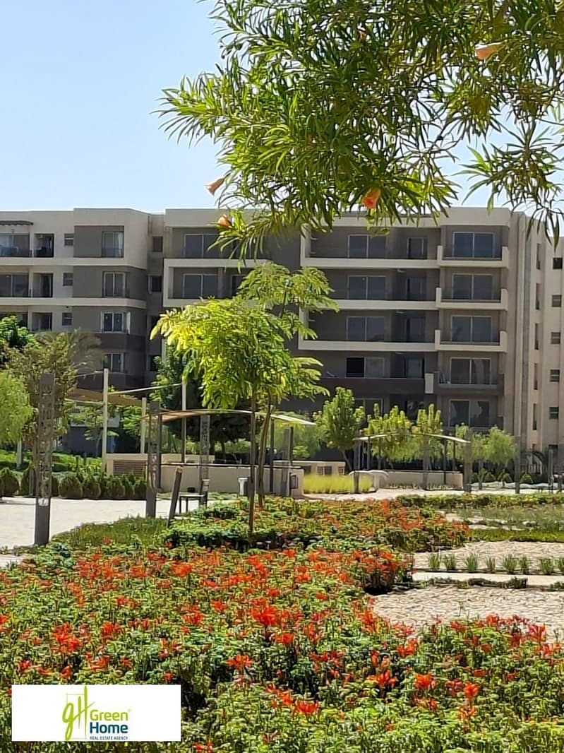 17 WhatsApp Image 2026-01-04 at 22.52. 40 (1). jpeg