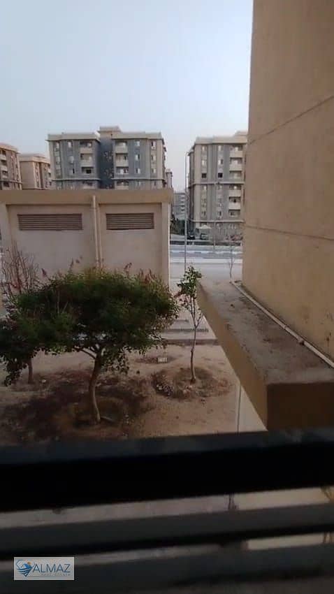 4 WhatsApp Image 2026-01-08 at 4.45. 20 PM. jpeg