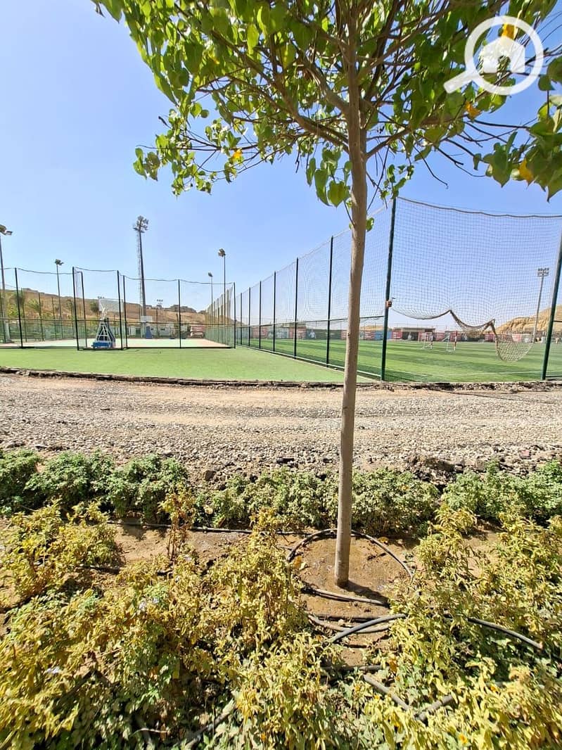 9 WhatsApp Image 2026-01-04 at 10.51. 59 PM. jpeg