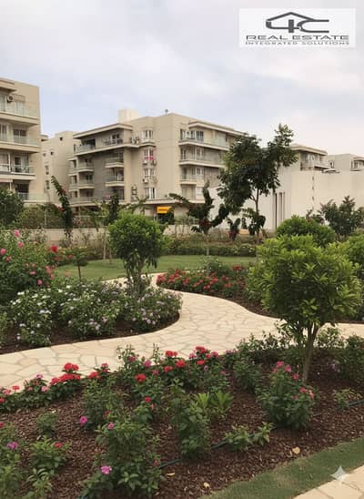 3 Bedroom Apartment for Sale in New Cairo, Cairo - Gemini_Generated_Image_zfw59szfw59szfw5. png