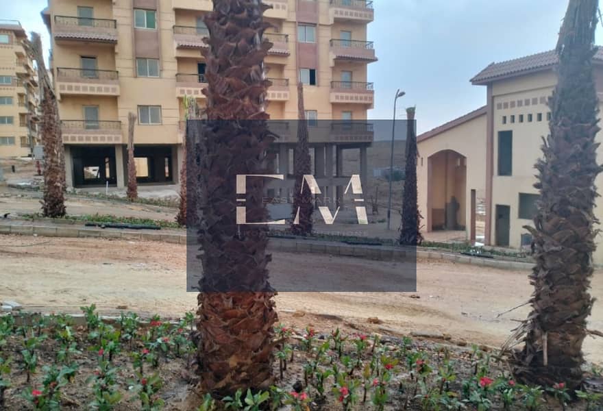 3 7aa76077-b21f-4186-af56-cf8d4e288e29. jpg