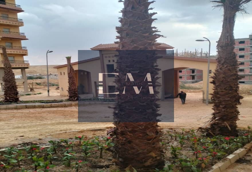 7 34693537-c1d6-4e0a-a8e4-30630c8dfe53. jpg