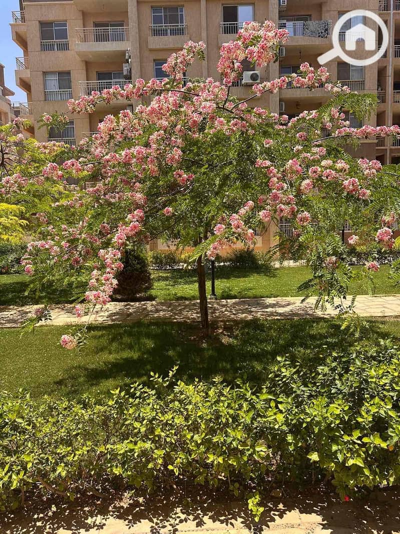 3 8ce7bc33-c7c2-4085-a0ff-96482ebd2bfa. jpg