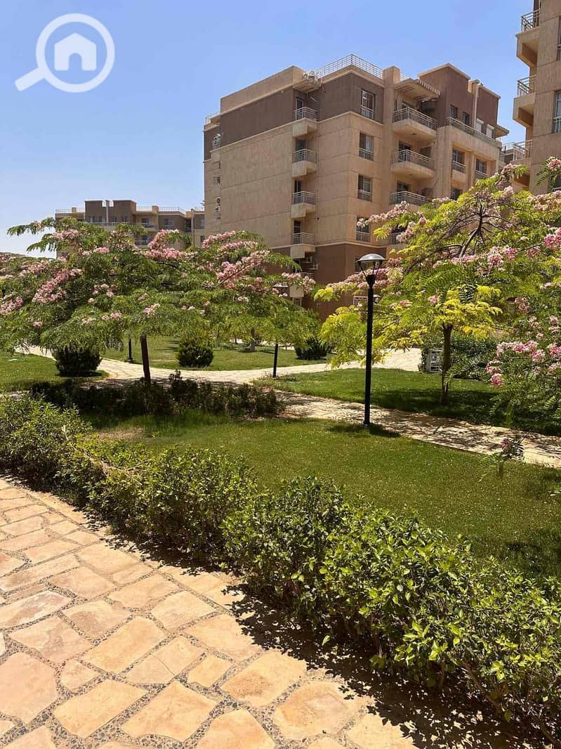 4 f9f57dda-41a6-47cd-9267-ddfae4ea402a. jpg