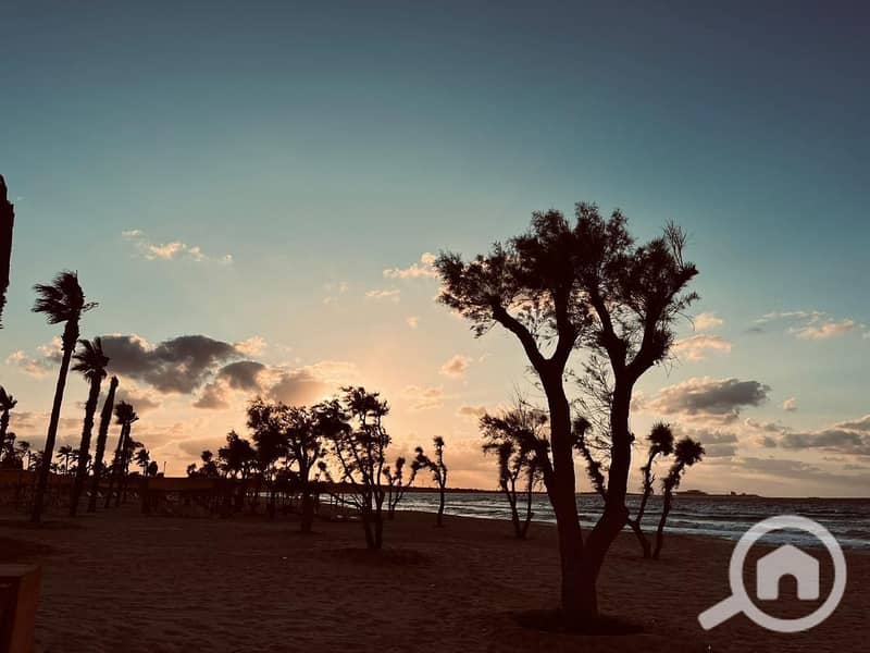 11 WhatsApp Image 2025-08-07 at 4.49. 58 PM (2). jpeg