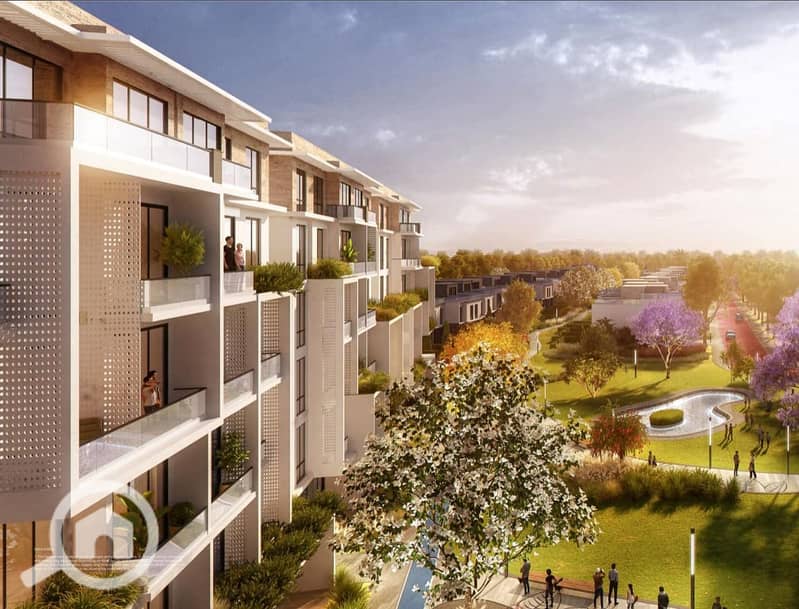 6 458729521_122102346704512067_685658479937109567_n. jpg