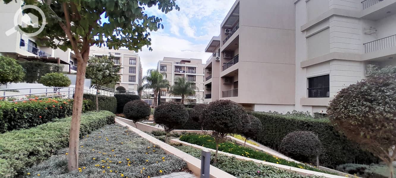 3 20251229_141343. jpg