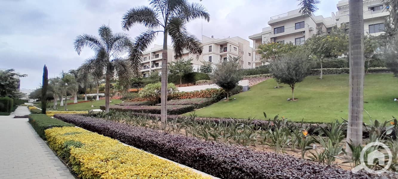 4 20251229_142354. jpg