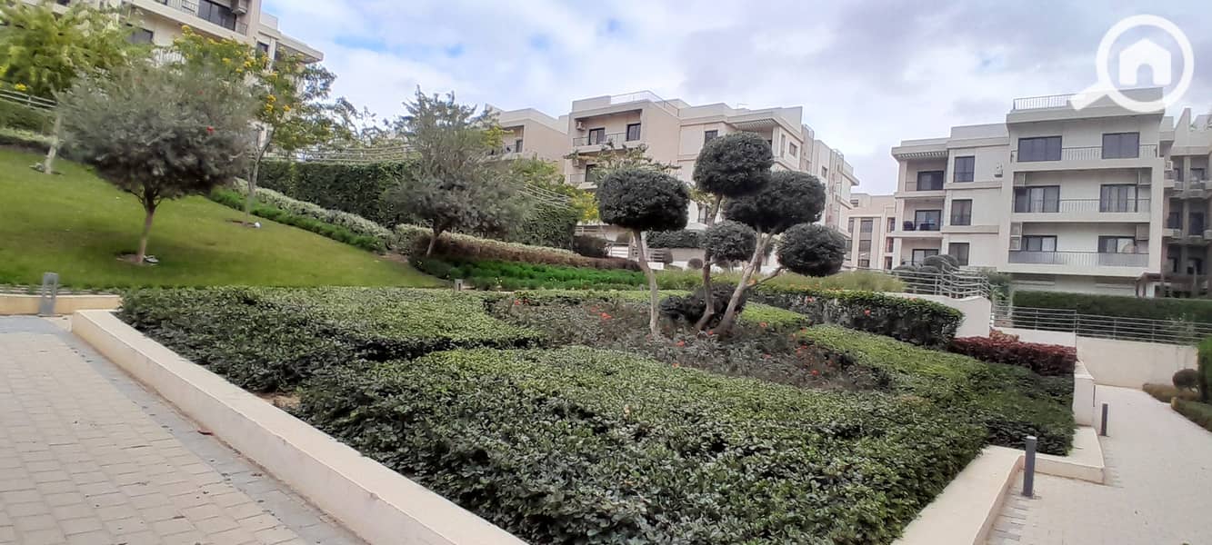 5 20251229_142713. jpg