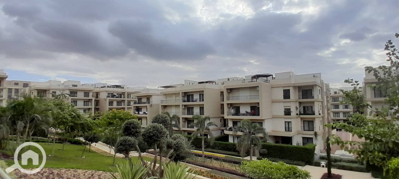 6 20251229_143059. jpg