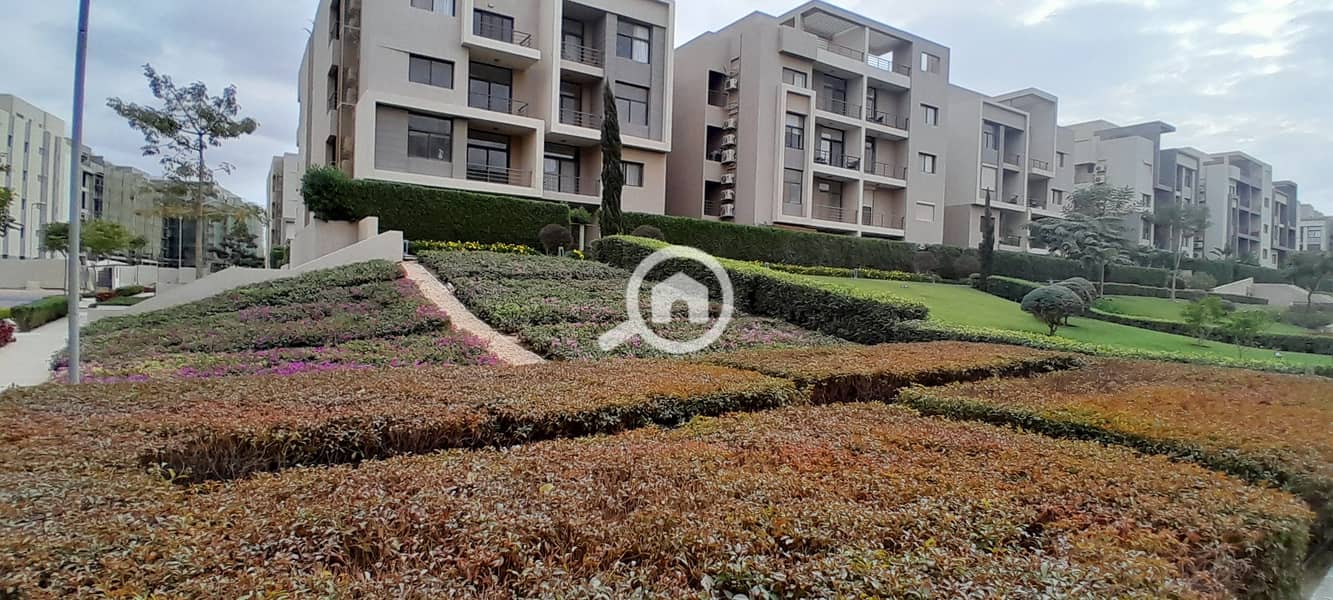 7 20251229_144242. jpg