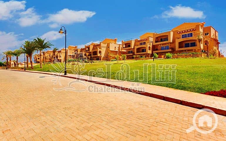 2 WhatsApp Image 2025-03-27 at 12.24. 38 PM (1). jpeg