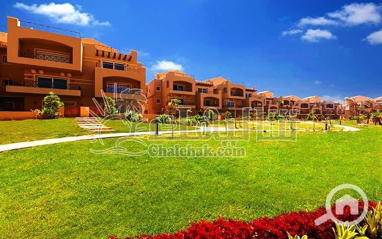 4 WhatsApp Image 2025-03-27 at 12.24. 39 PM (1). jpeg