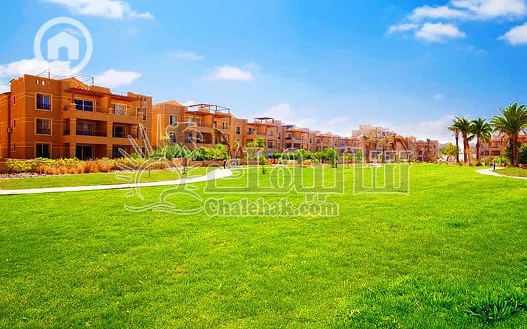 5 WhatsApp Image 2025-03-27 at 12.24. 39 PM (2). jpeg