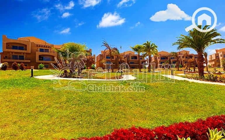 6 WhatsApp Image 2025-03-27 at 12.24. 39 PM. jpeg