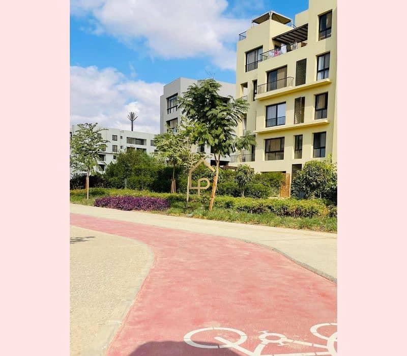 10 566201697_1309718641165977_484962729529980290_n. jpg