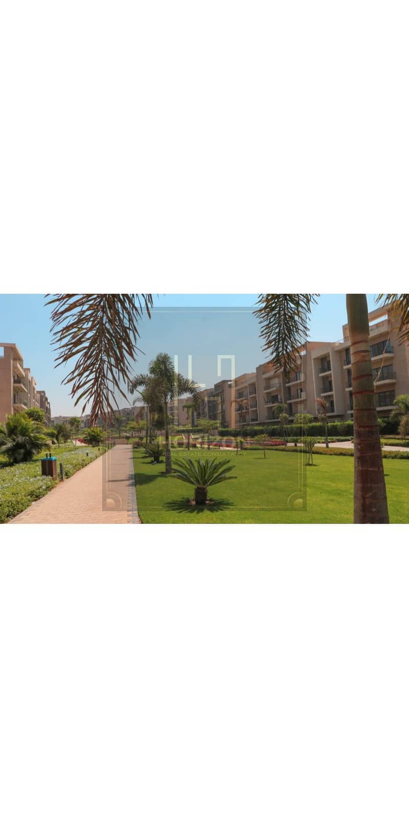 7 المراسم  1. jpg