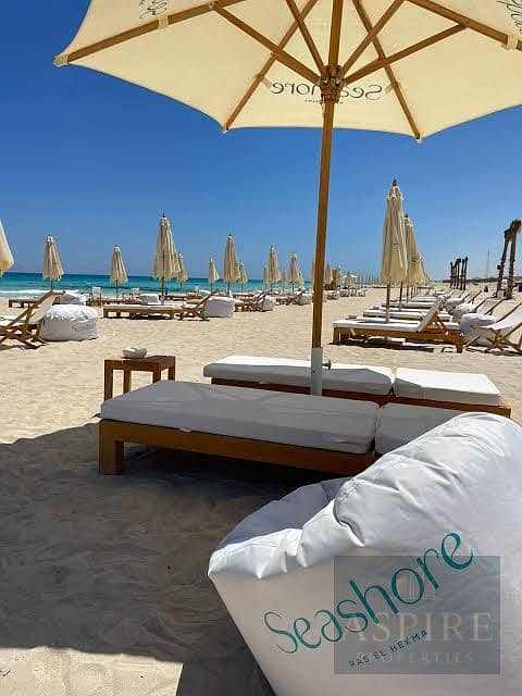 5 WhatsApp Image 2025-11-11 at 18.36. 28_dcc1f188. jpg