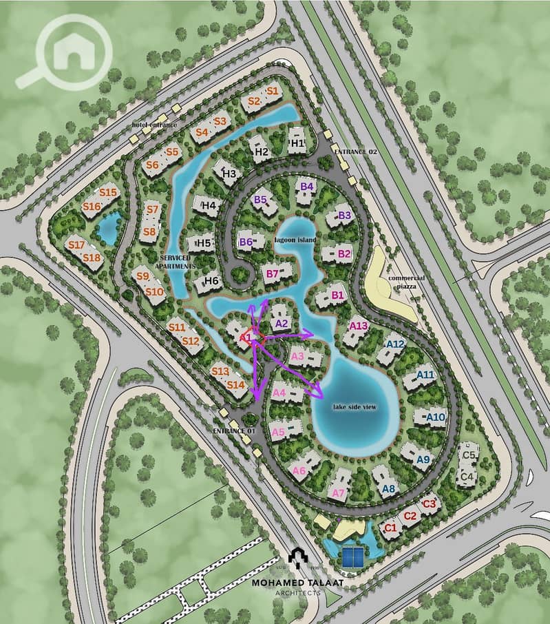 2 دومينار ١. jpeg