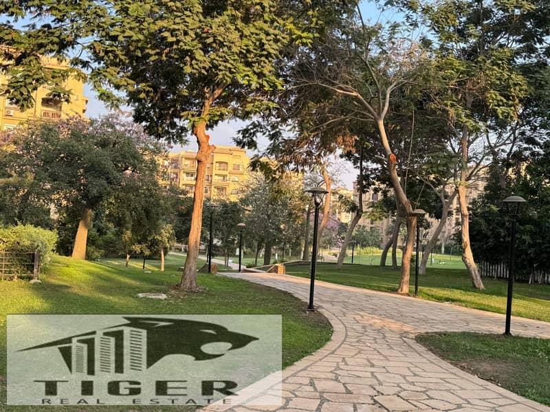 5 WhatsApp Image 2025-11-12 at 11.47. 34 AM. jpeg