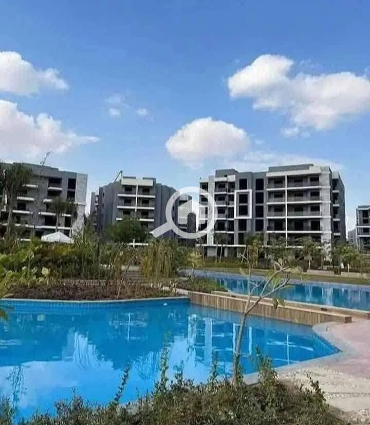 10 607844000_122250729716155442_5311784607668811998_n. jpg