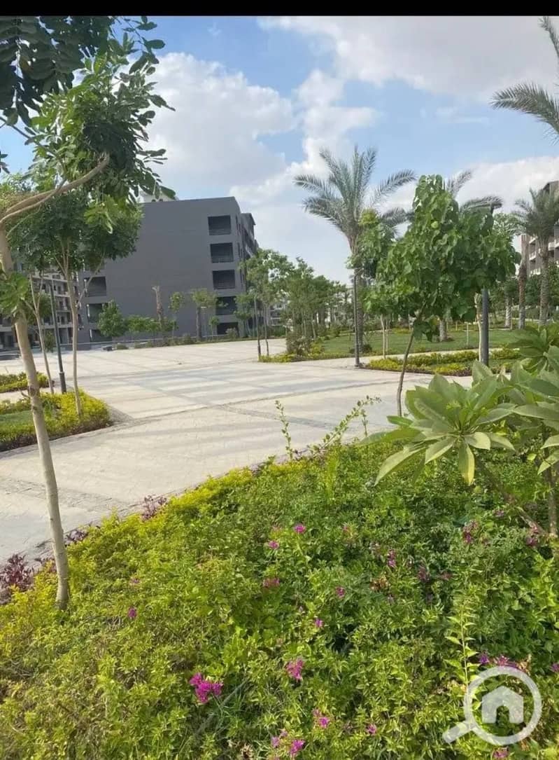 5 507645338_4102666413389666_542677945750955832_n. jpg