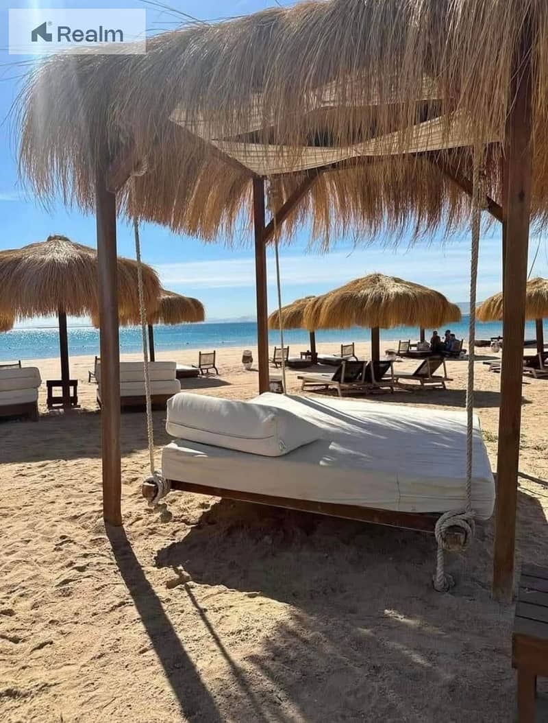 5 481816086_1198201228531297_563315659480062118_n. jpg