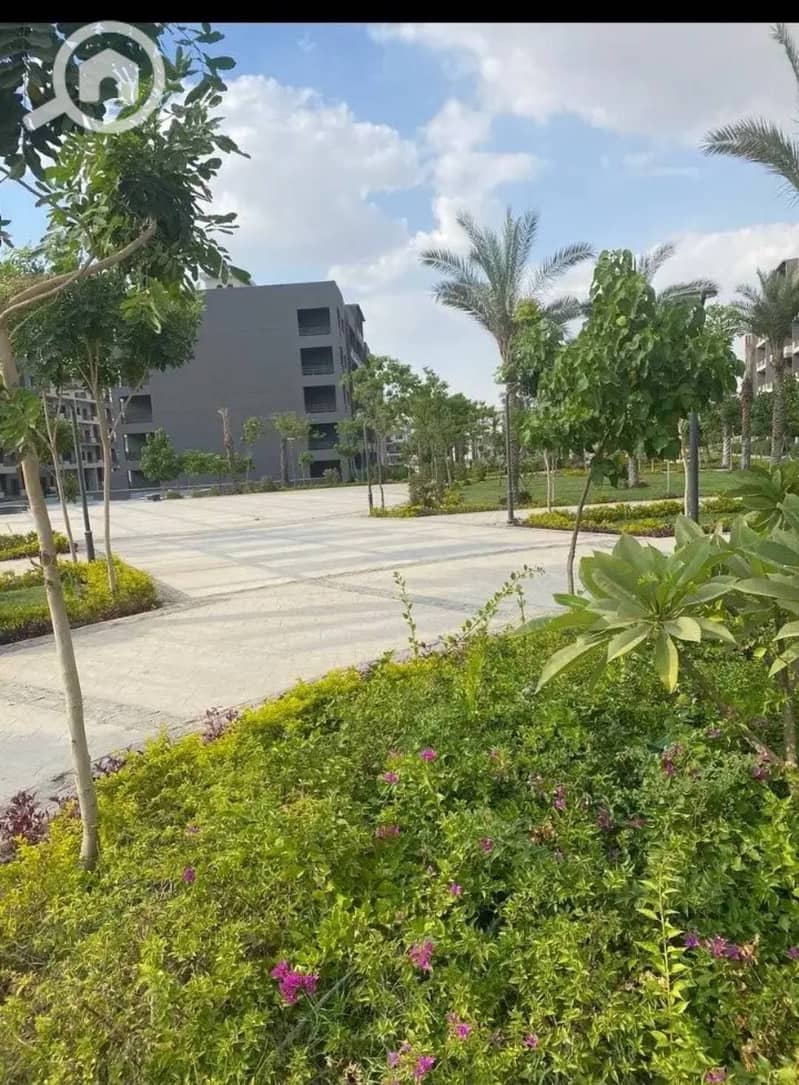 5 507645338_4102666413389666_542677945750955832_n. jpg