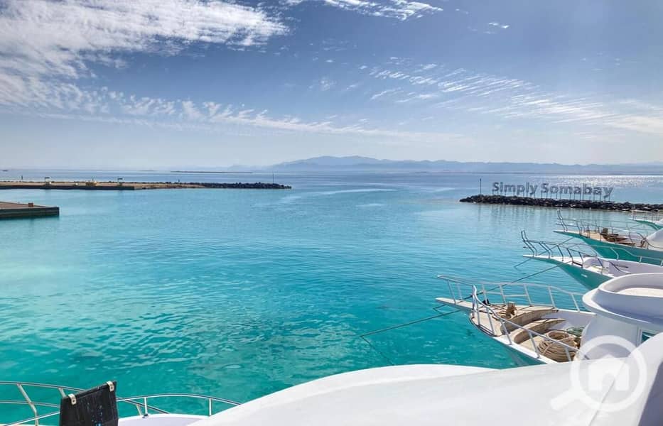 11 WhatsApp Image 2024-04-17 at 20.50. 13_ba3aaf05. jpg