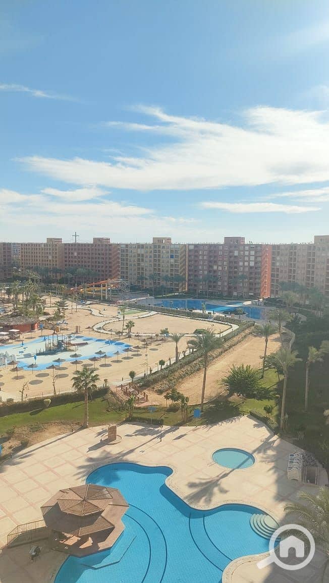 5 WhatsApp Image 2026-01-06 at 2.31. 12 PM. jpeg