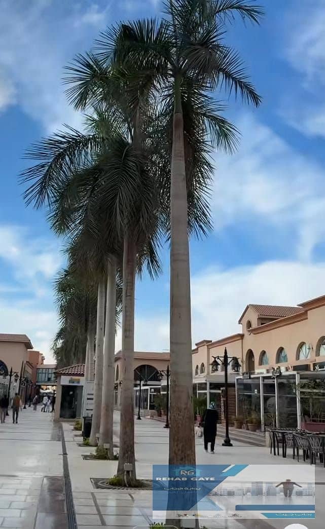 5 a801f0e4-52b3-41cc-95e5-5ef76740d05f. jpg