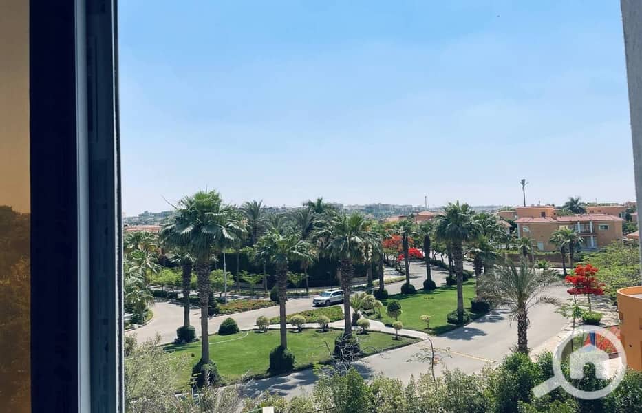 8 photo_5958719931937833200_y. jpg