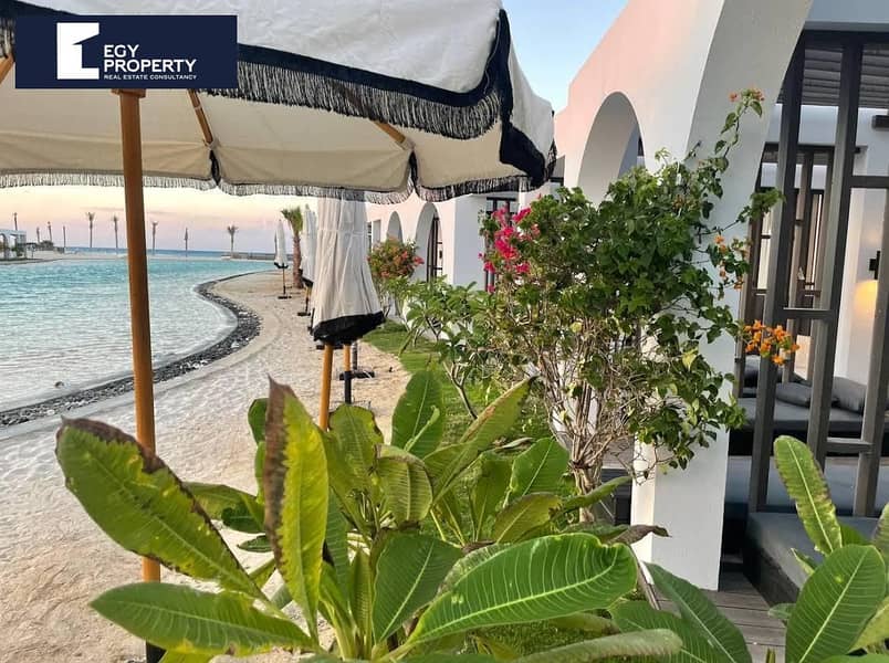 5 _files_41a06dbb-b02f-4c41-8f69-61ce6d6ba8fb. jpg