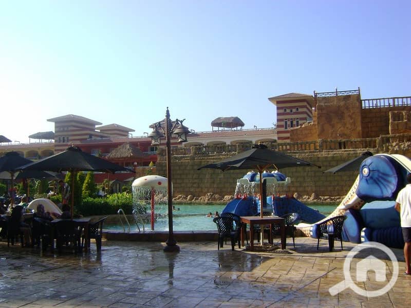 13 DSC00203 (Copy). JPG