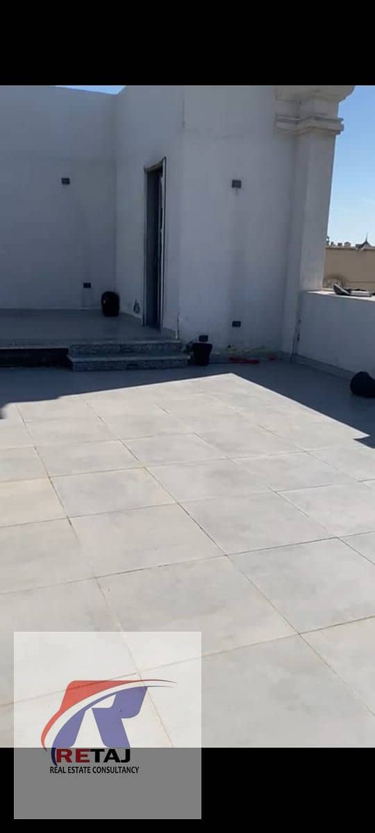 10 3884884b-2a3a-47e7-bb1e-ea2508e9256b. jpg