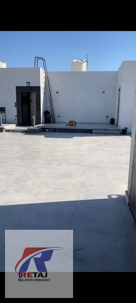 11 24300737-82ee-4720-955c-e8bf6cbf0906. jpg