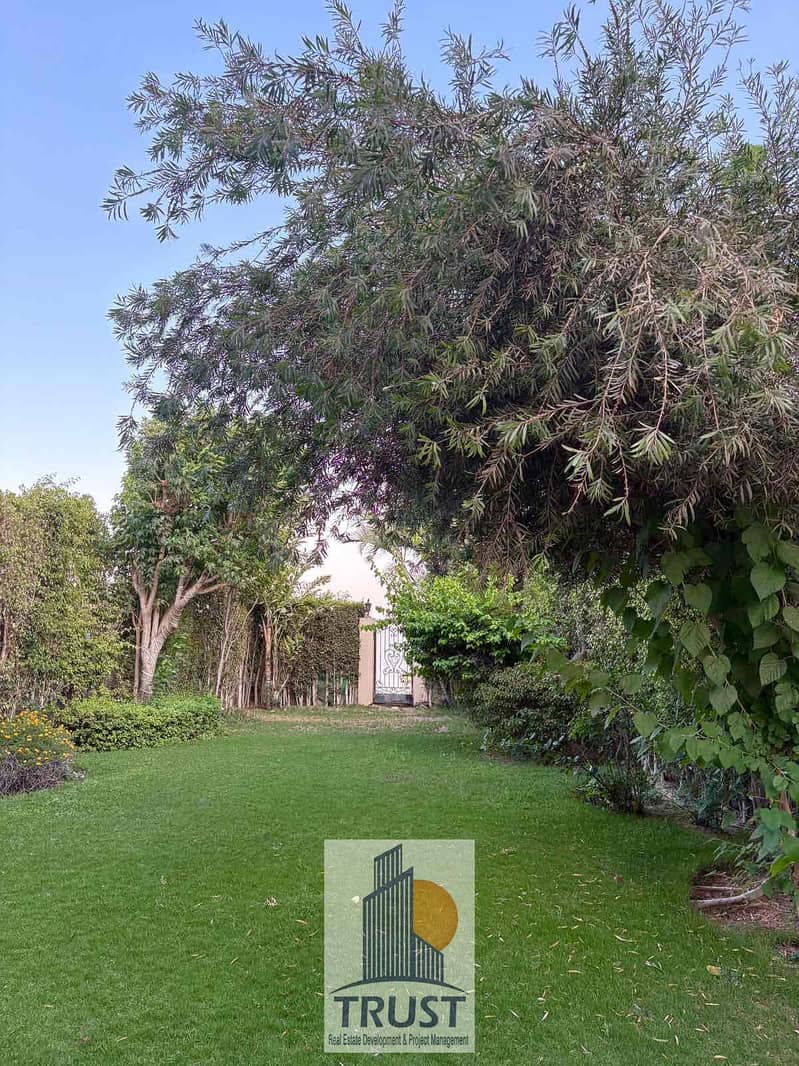 5 e29060b6-65f4-42c0-9ca8-ba739d4bcc71. jpg