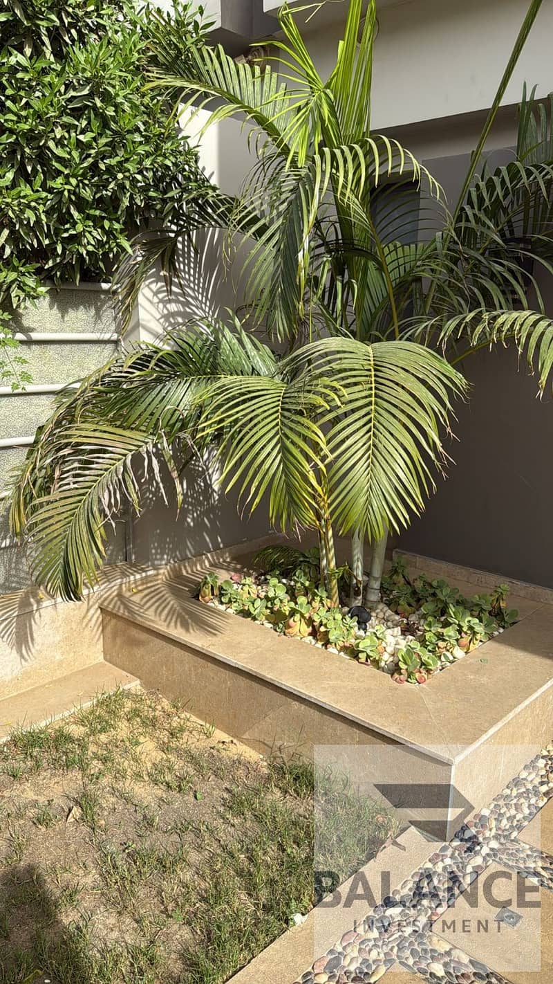 54 WhatsApp Image 2025-12-24 at 4.48. 20 PMllm. jpeg