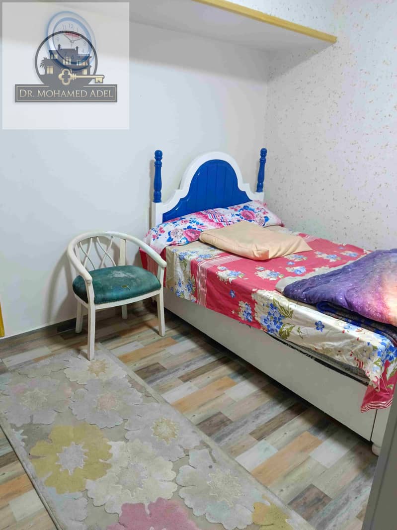 2 IMG_٢٠٢٤٠٣٢٥_١٦٥٣٤٧. jpg