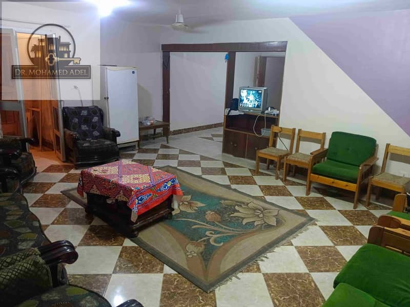 8 IMG_20240819_014206. jpg