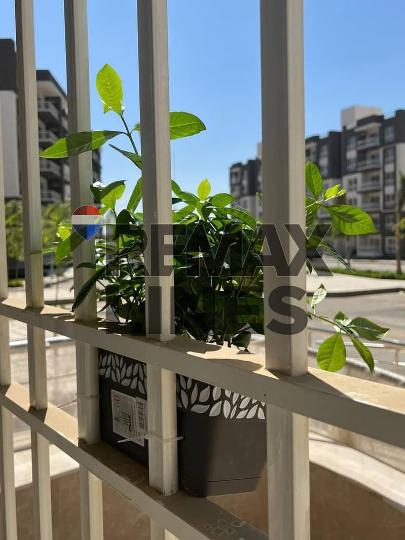 2 WhatsApp Image 2026-01-08 at 10.17. 11 AM. jpeg