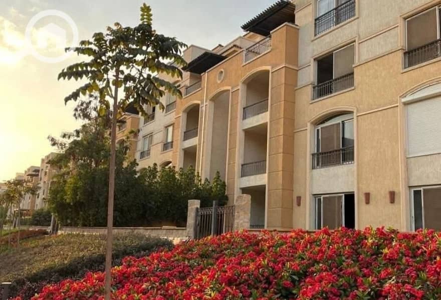 7 ae395771-e2e0-41fa-8acc-df23ee1ec823. jpg