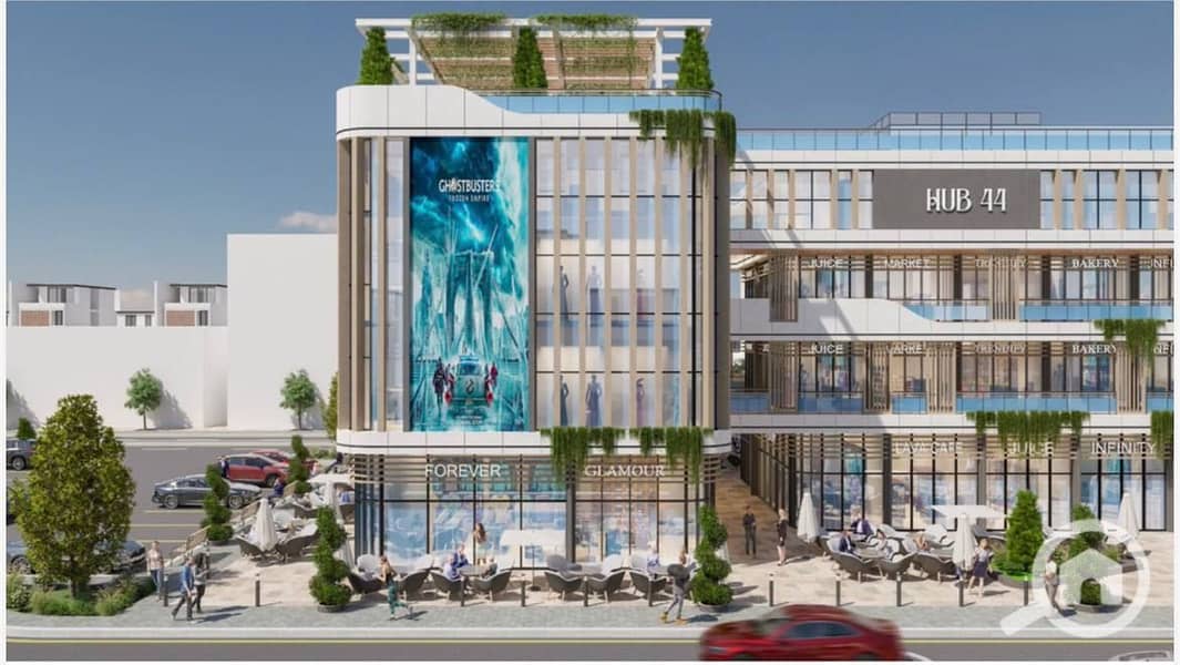 4 photo_1_2026-01-09_02-37-17. jpg